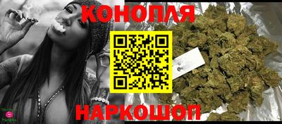 стафф Бийск